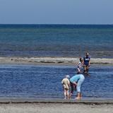 1307G 041 Insel Fehmarn